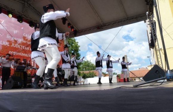 ZILELE ORASULUI SEINI EDITIA A XX-A 15-16 IULIE 2017