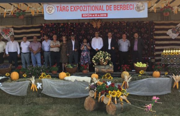 TÂRGUL EXPOZIȚIONAL DE BERBECI, EDIȚIA  A III-A –  30 AUGUST 2019
