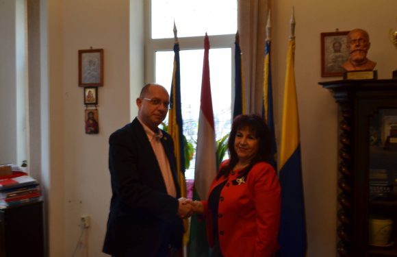 PREDARE AMPLASAMENT BLOC ANL AL SPECIALIȘTILOR DIN ÎNVĂȚĂMÂNT – 28 MARTIE 2018